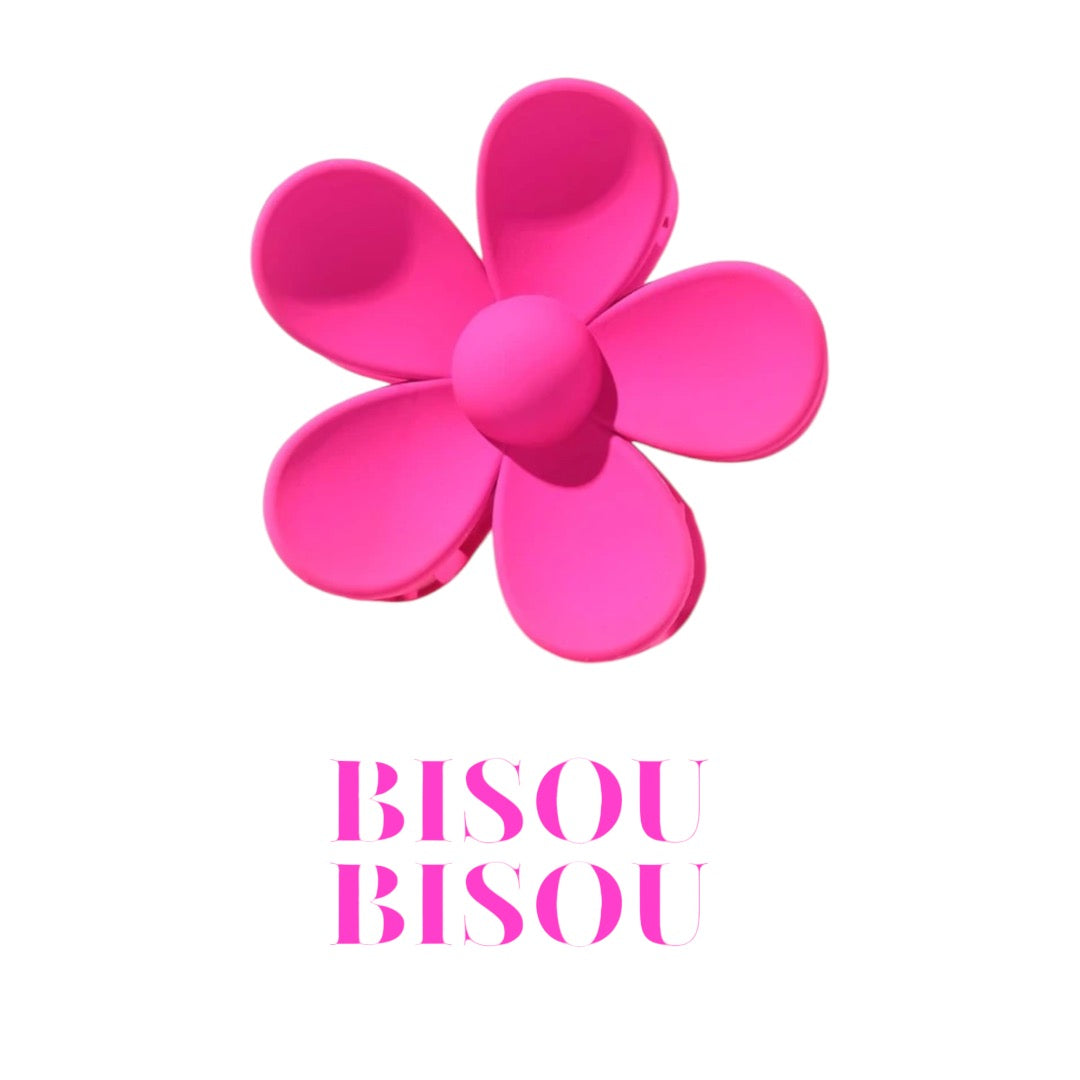 Pince à cheveux : Collection Hair Clips Bisou Bisou 🌸