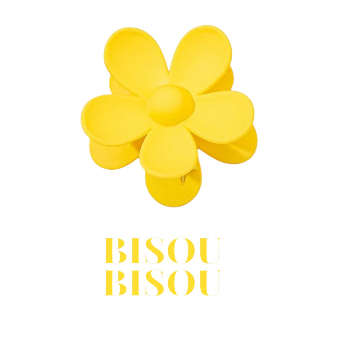 Pince à cheveux : Collection Hair Clips Bisou Bisou 🌞