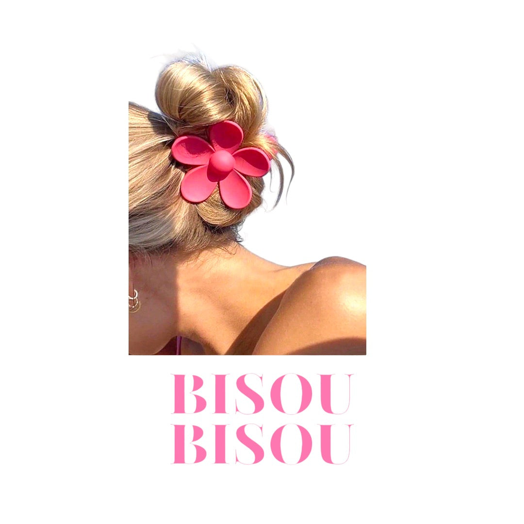 Pince à cheveux : Collection Hair Clips Bisou Bisou 🌸