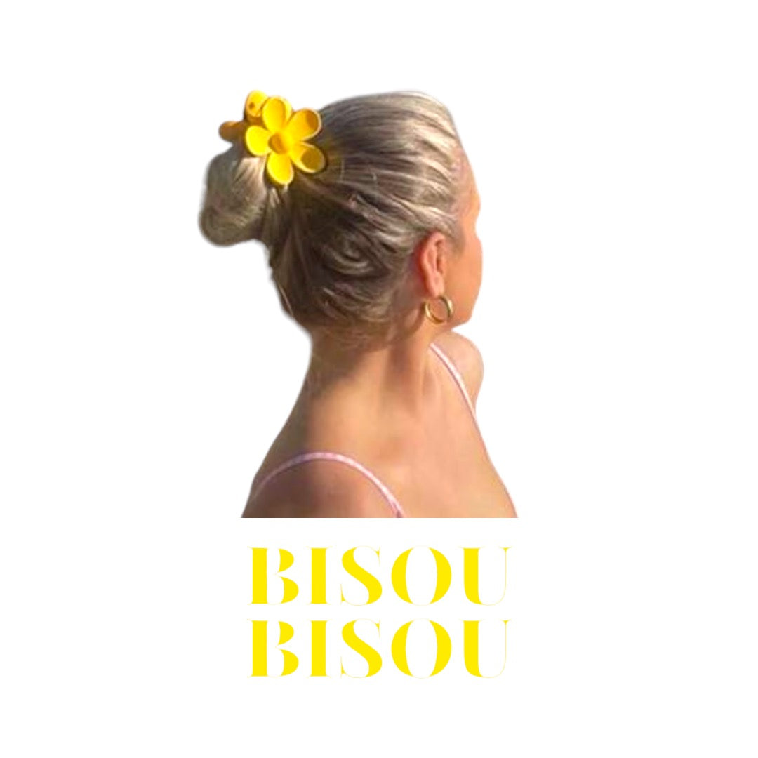 Pince à cheveux : Collection Hair Clips Bisou Bisou 🌞